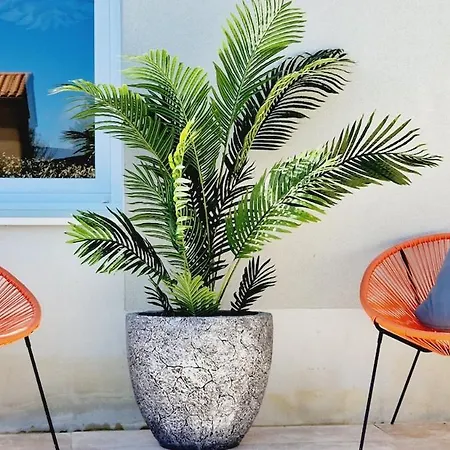 招待所 09, Piscine Chauffee 8 Personnes A 2 Pas De L'ocean 4*